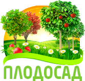 Плодовый Сад , Купить саженцы в Харькове | Интернет магазин саженцев и растений